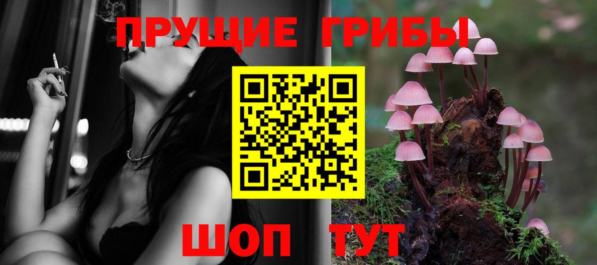 Галлюциногенные грибы Cubensis Сосновый Бор