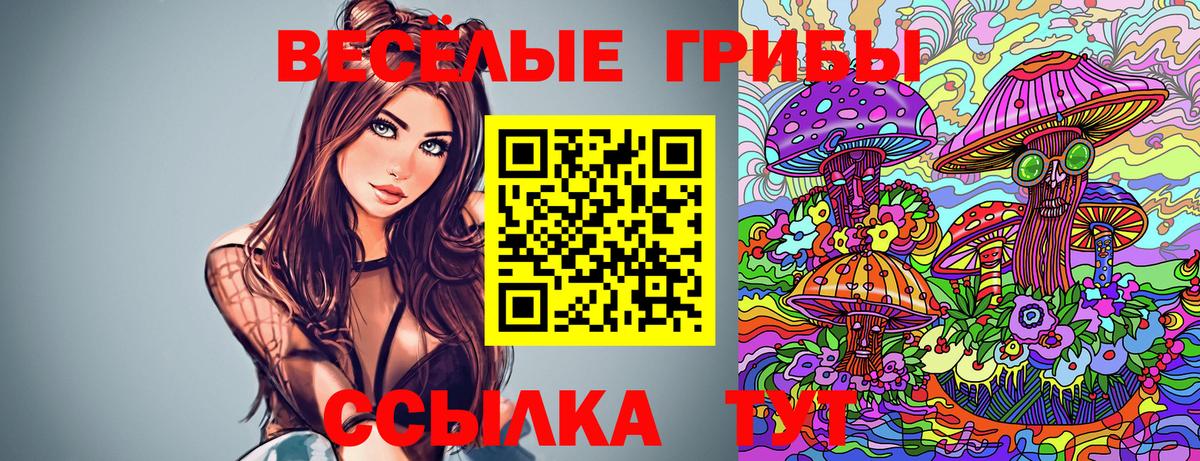 Галлюциногенные грибы ЛСД  Вход с VPN  Сосновый Бор 
